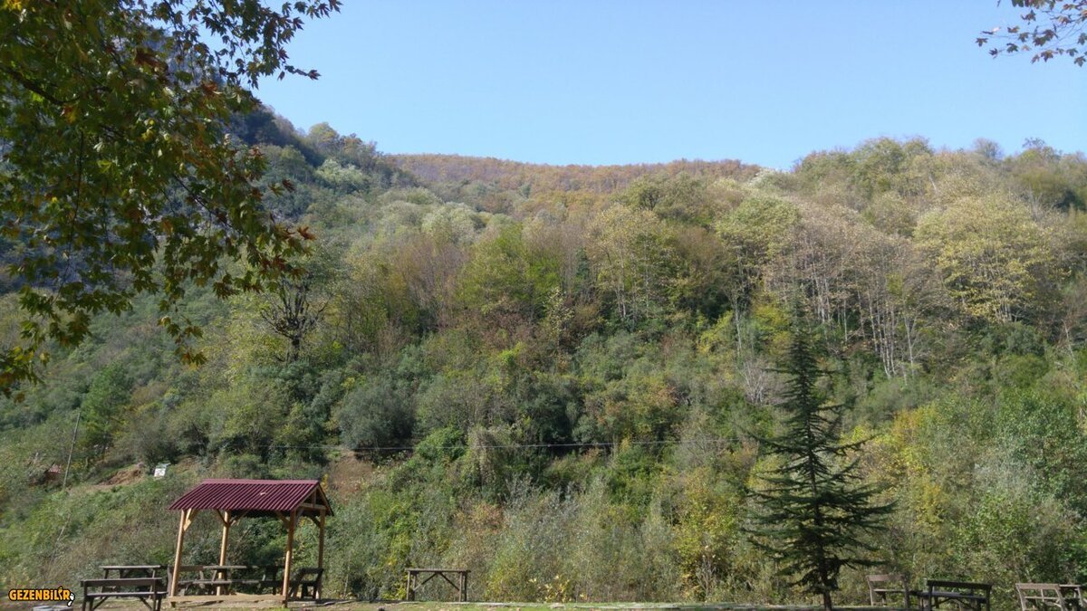 20161016_114946.jpg