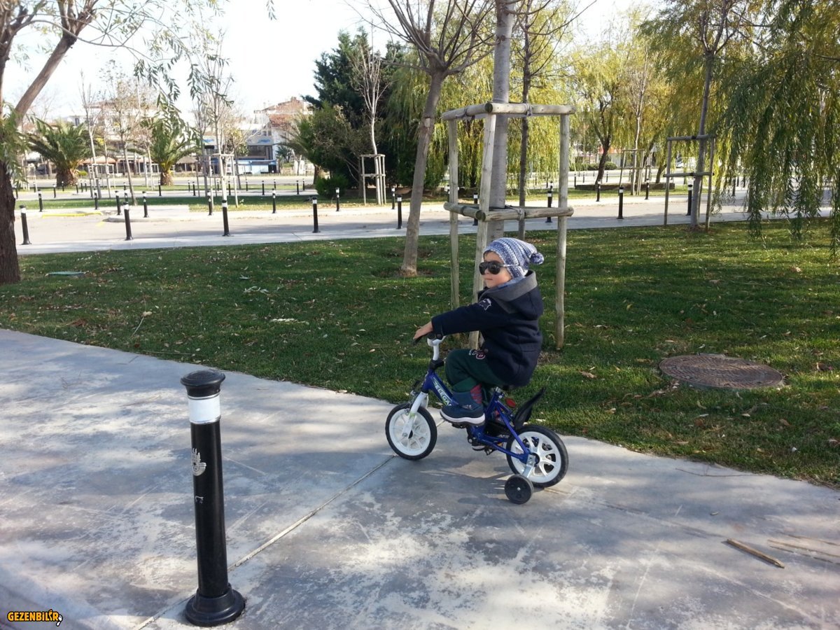 20161204_120135.jpg