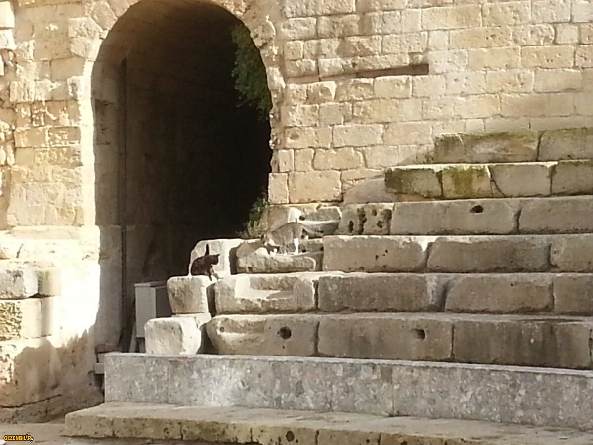 20171214_122423.jpg
