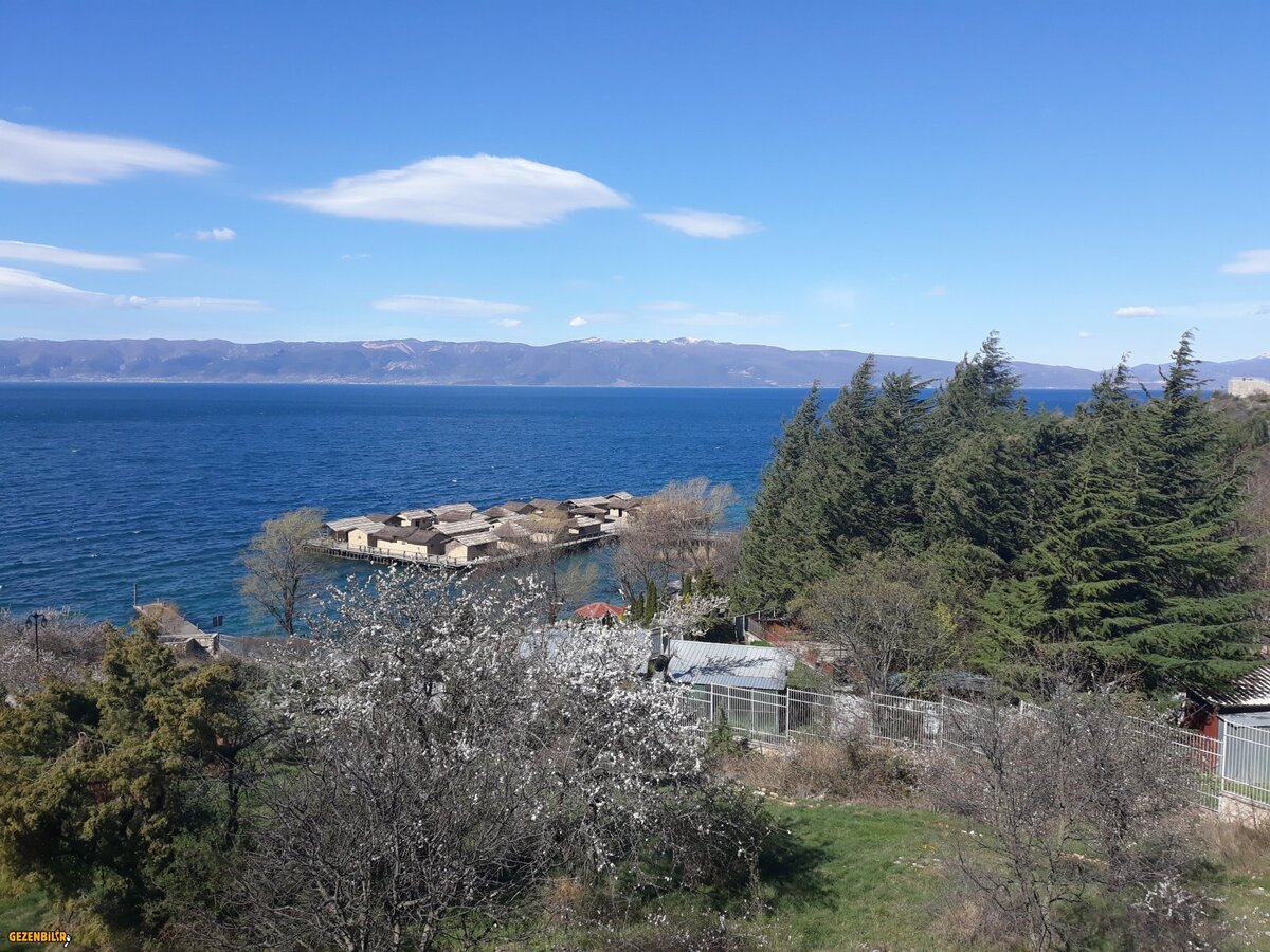 20180331_102504.jpg
