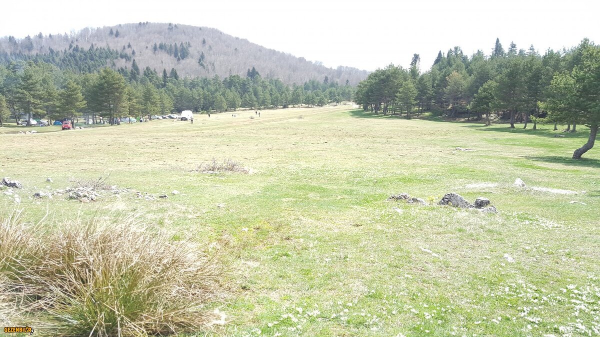 20180331_114536.jpg