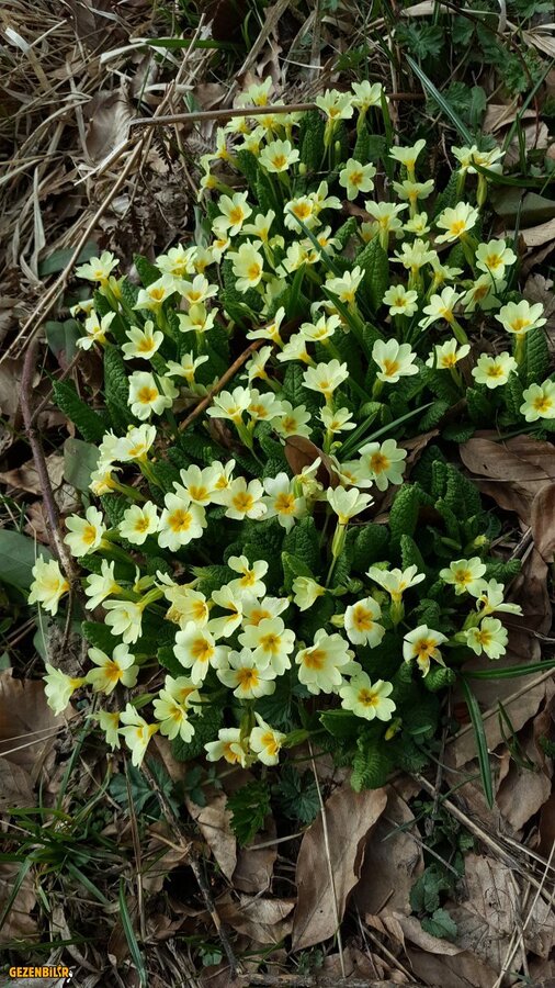 20180331_125454.jpg