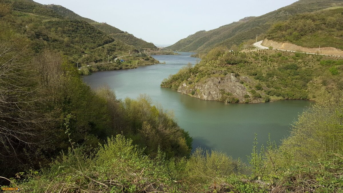 20180401_160531.jpg