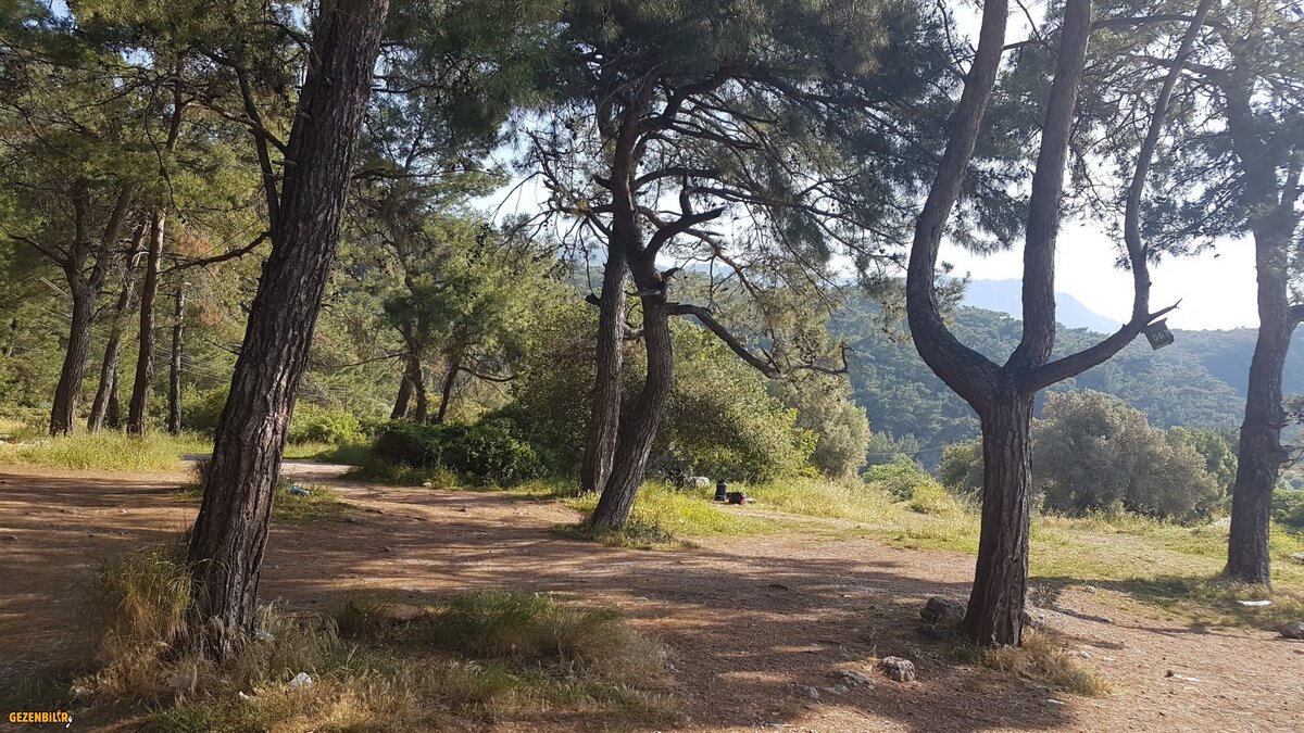 20180427_090145.jpg