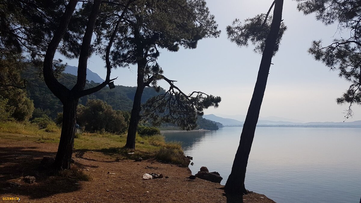 20180427_090149.jpg