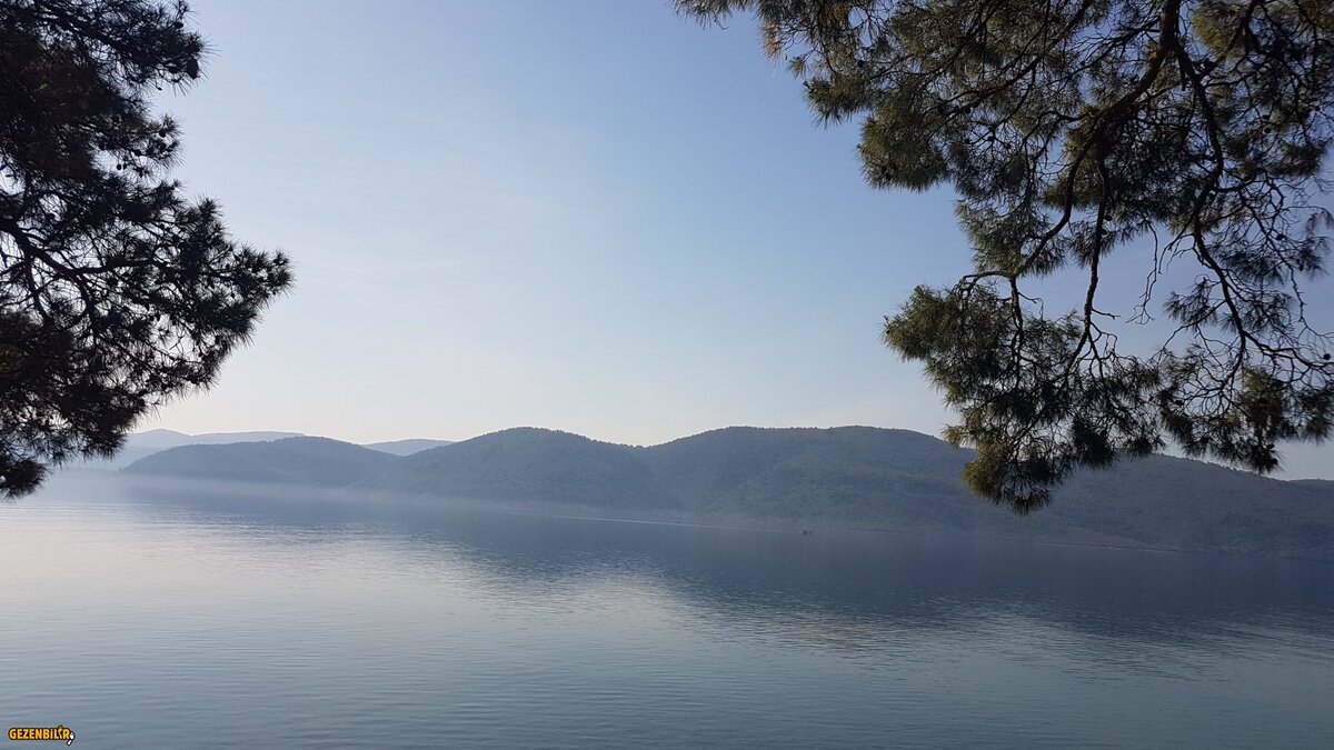 20180427_090156.jpg