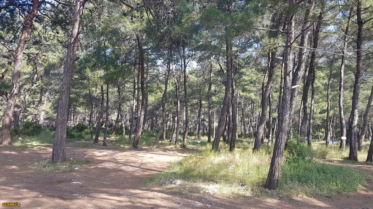 20180427_090208.jpg
