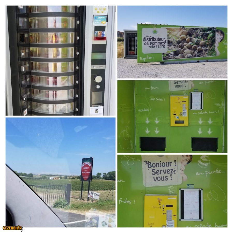 20180705_145231-COLLAGE.jpg