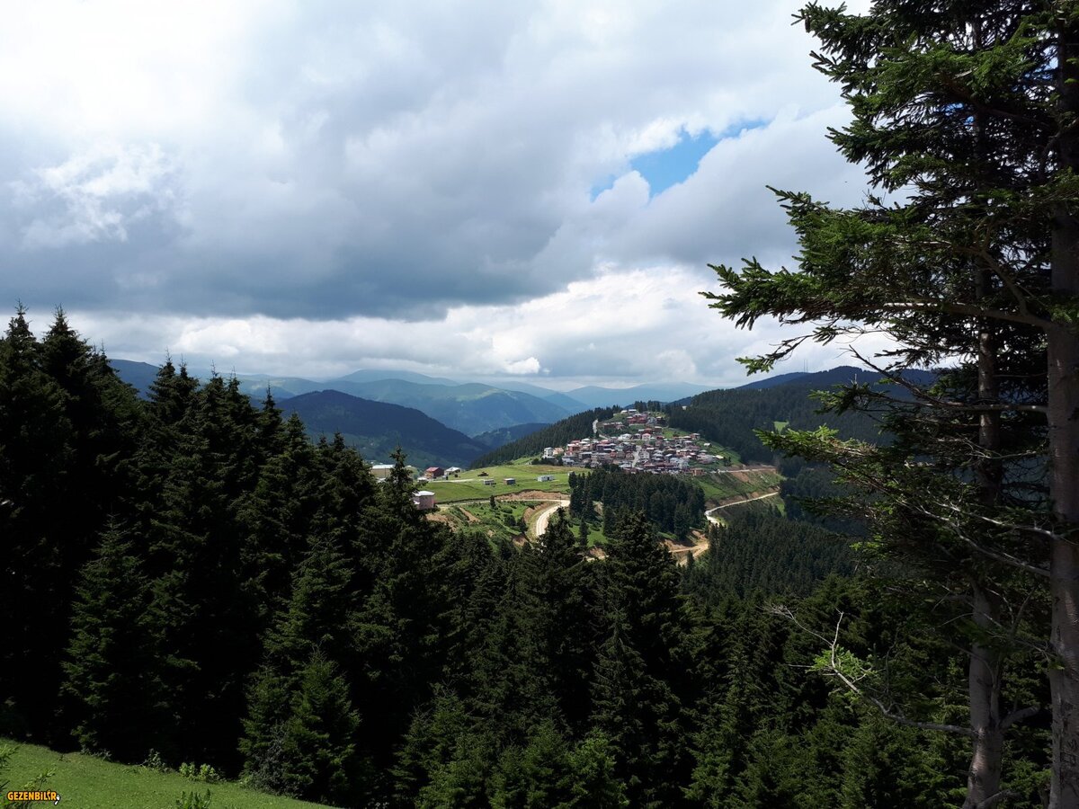 20180717_122905.jpg