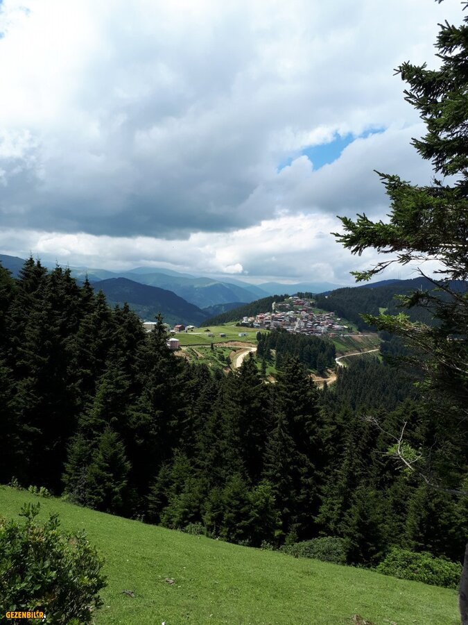 20180717_122909.jpg