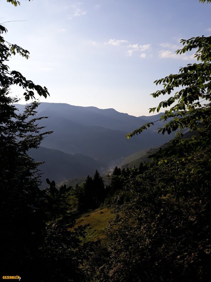20180718_182006.jpg