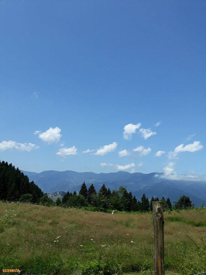 20180719_120702.jpg