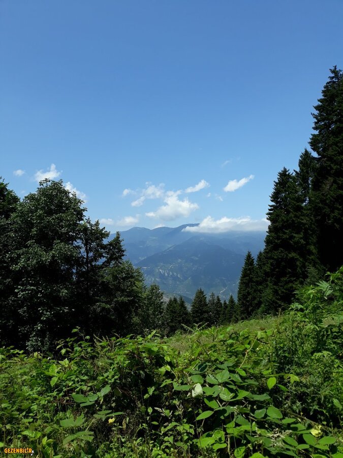 20180719_120949.jpg