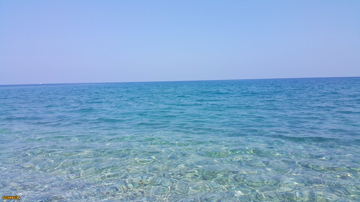 20180804_151800.jpg
