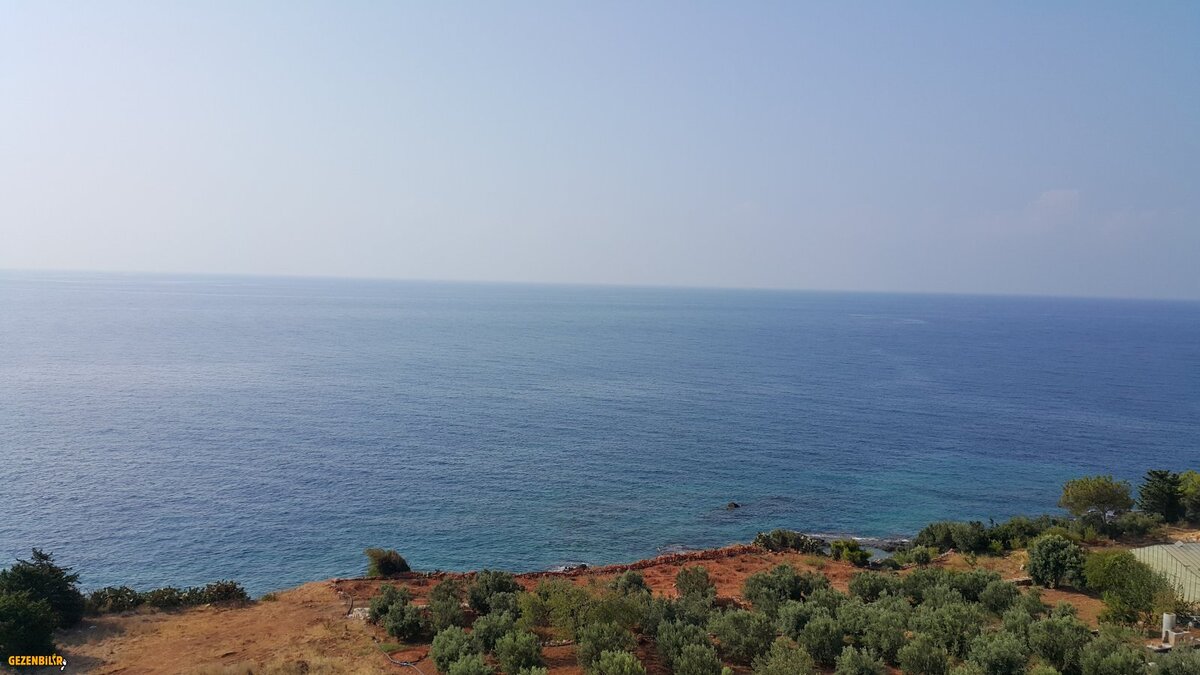 20180806_090012.jpg