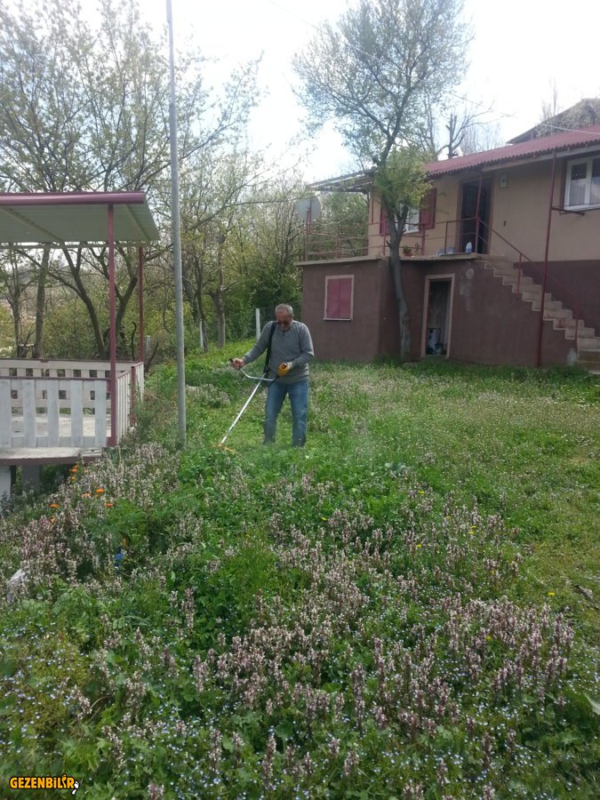 20190423_132911.jpg