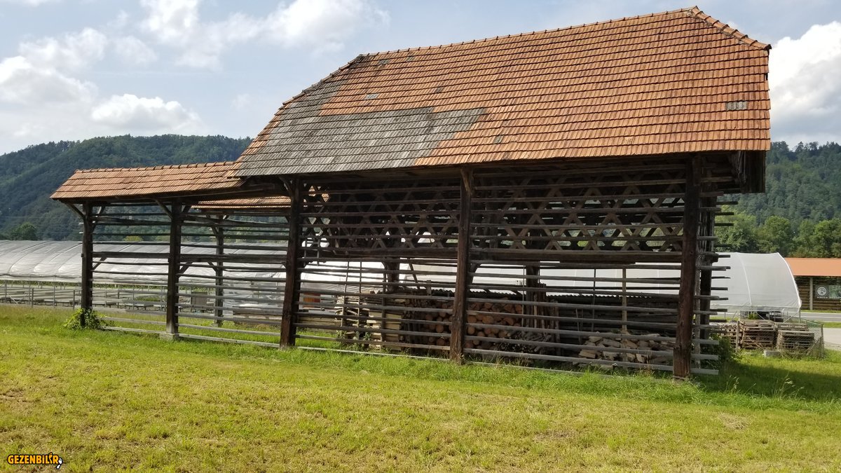 20190807_154602.jpg