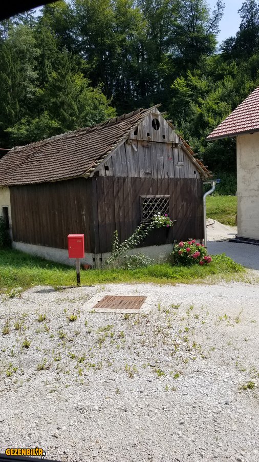 20190807_155328.jpg