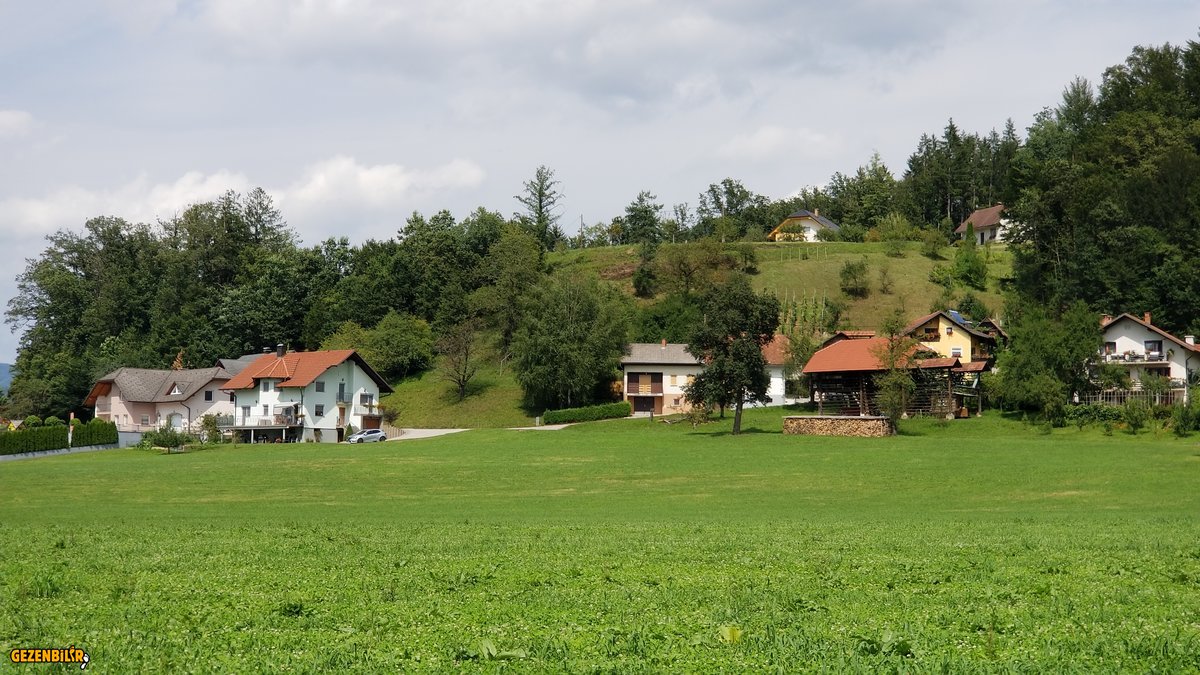 20190807_155424.jpg