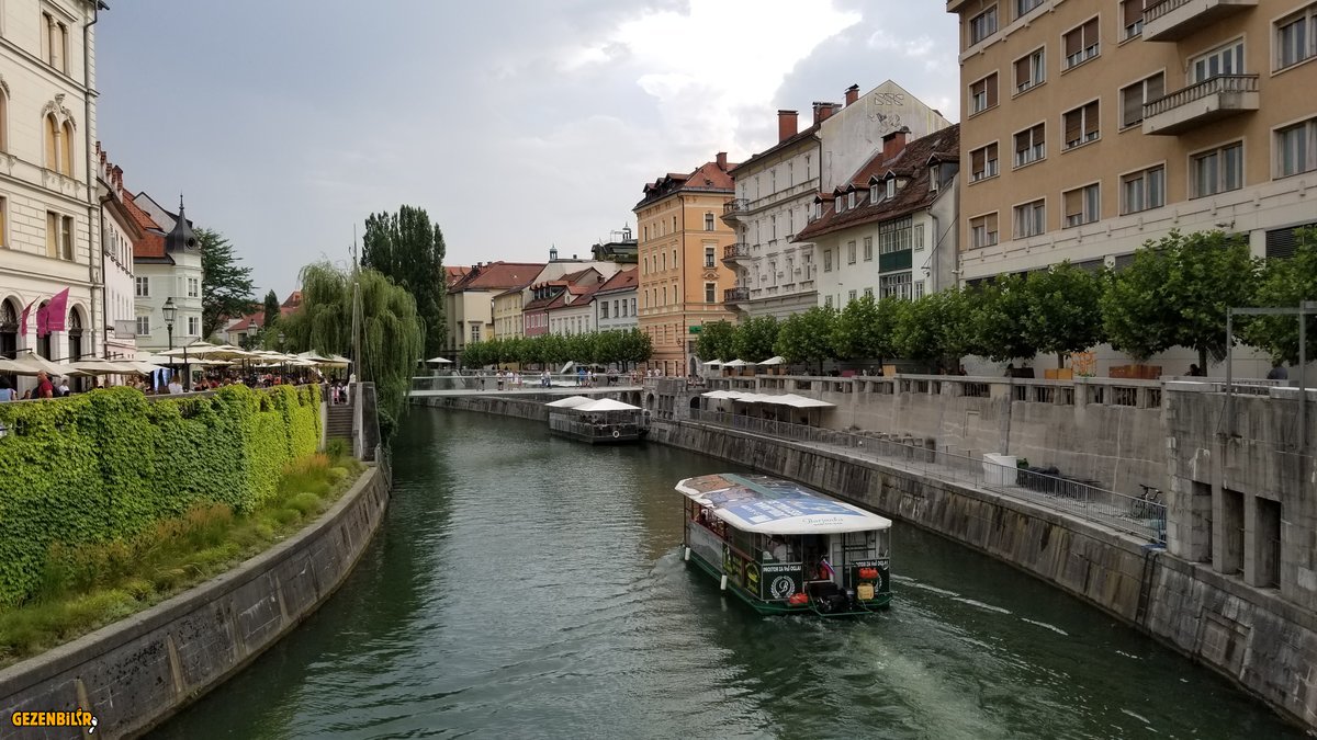 20190807_182834.jpg