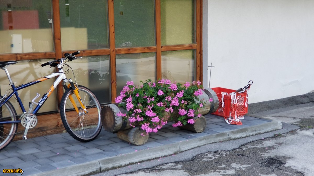20190808_132056.jpg