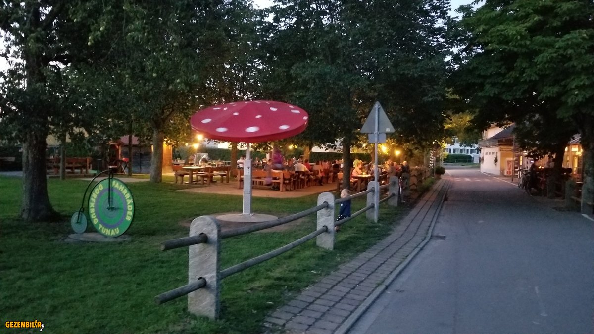 20190808_221255.jpg