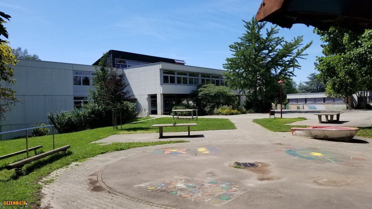 20190809_135808.jpg