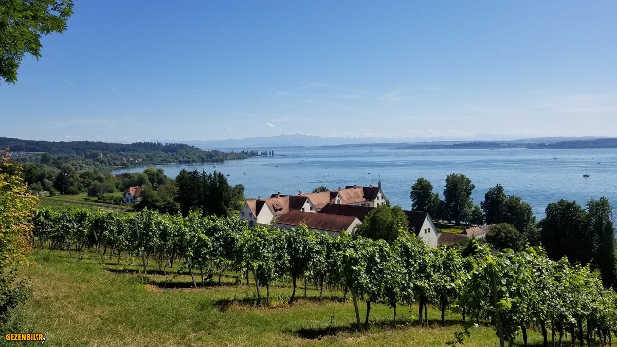 20190809_163748.jpg