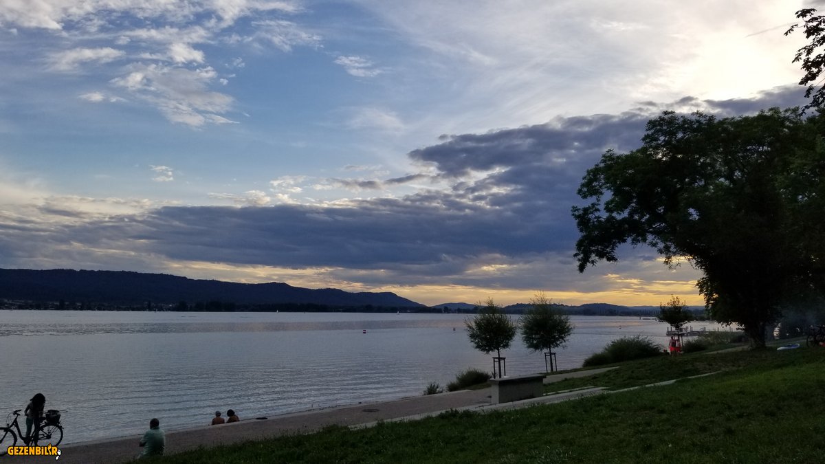 20190809_205444.jpg
