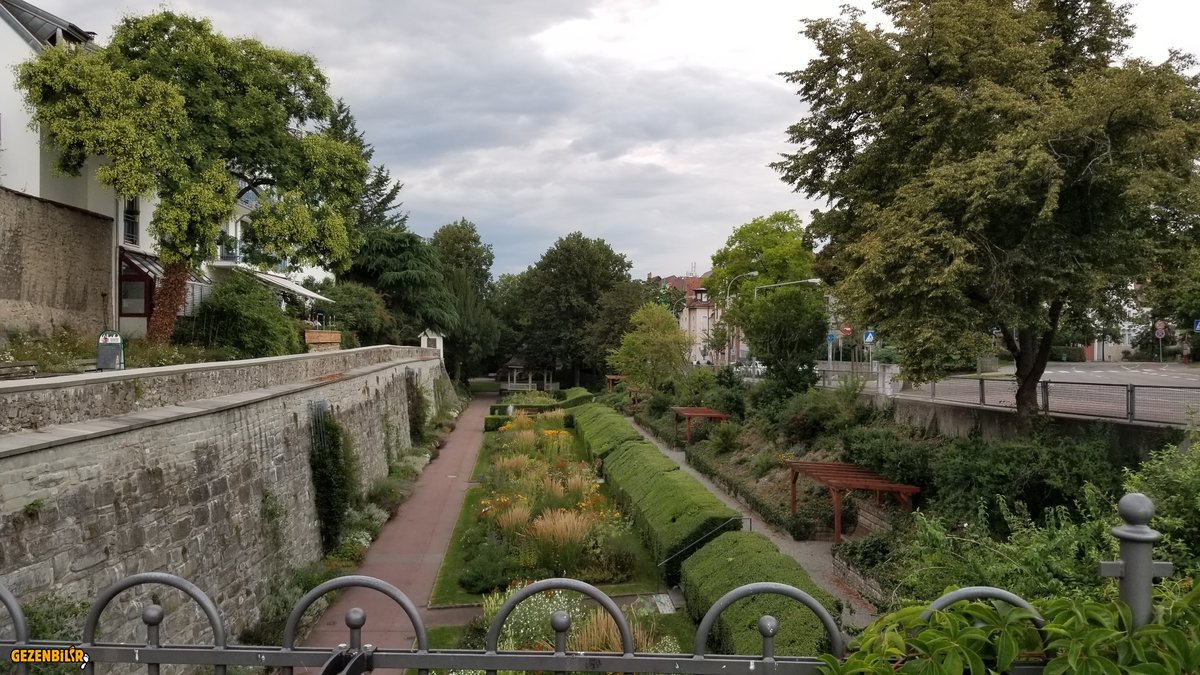 20190809_211359.jpg