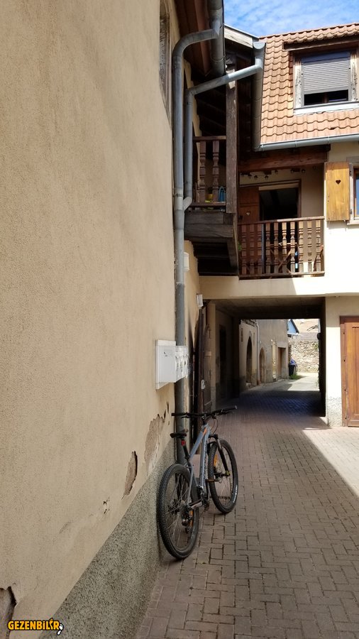 20190810_155256.jpg