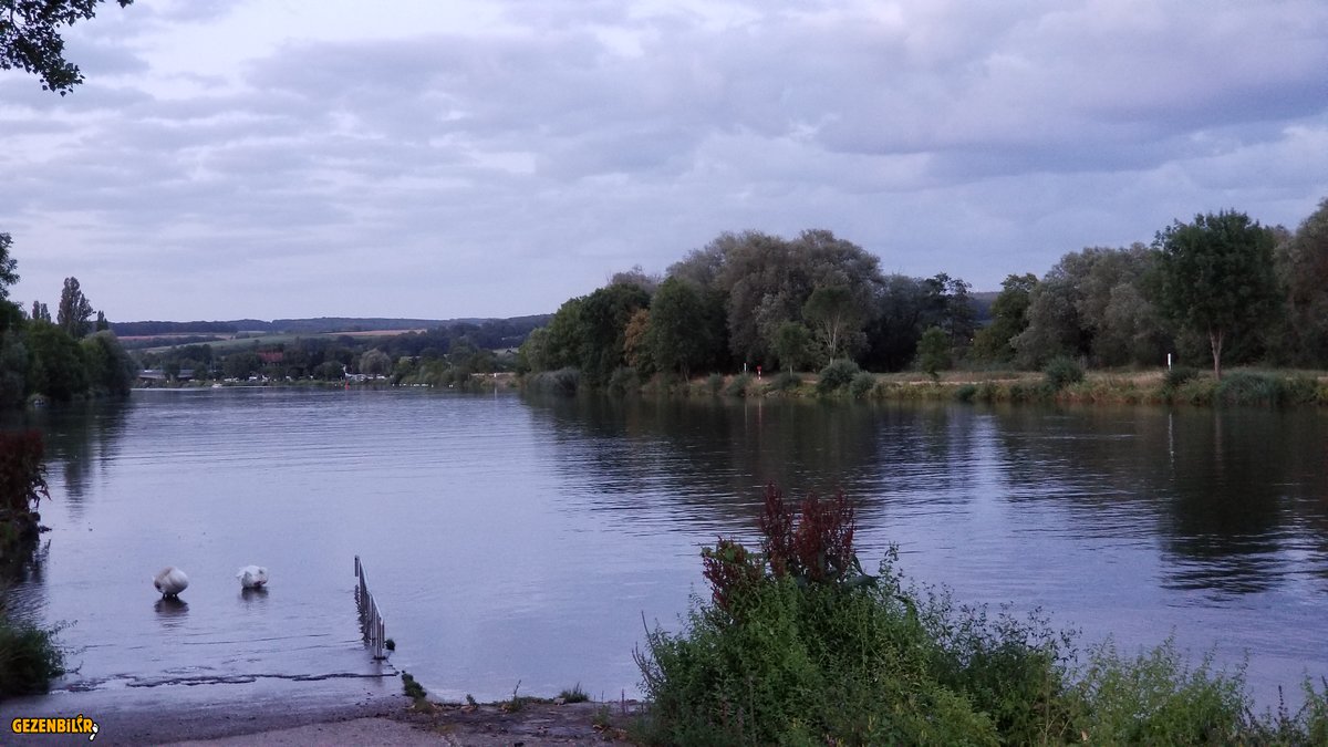 20190810_221548.jpg
