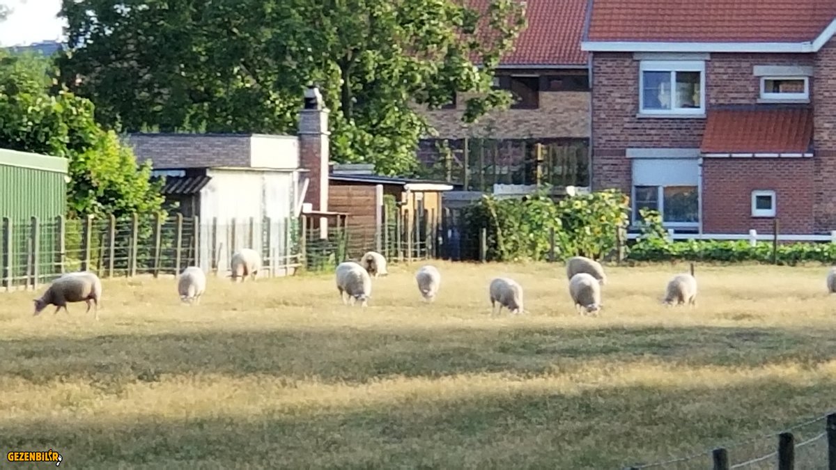 20190811_203957.jpg