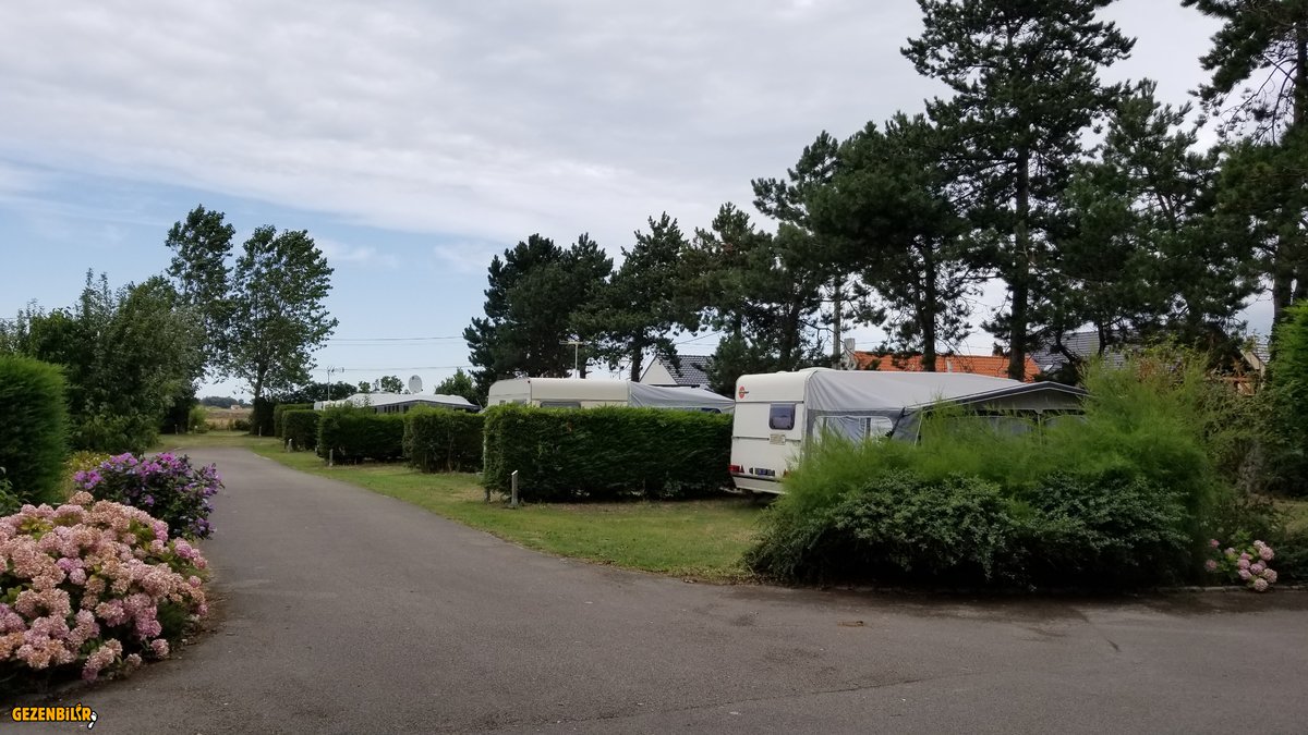20190813_130042.jpg