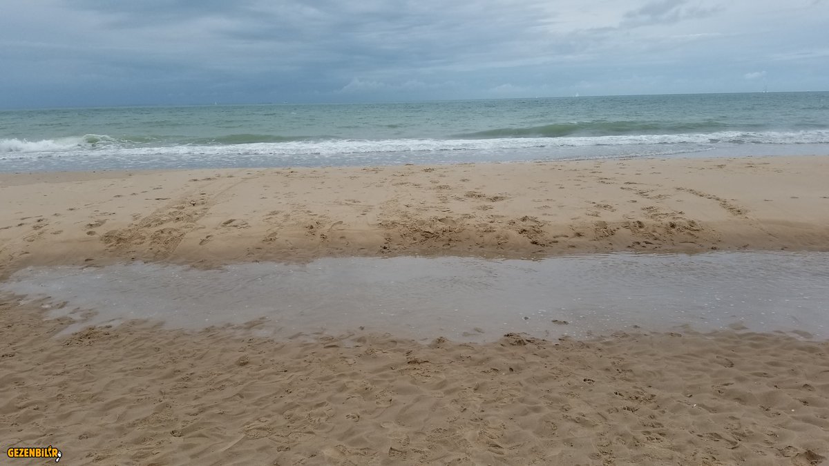 20190814_125203.jpg