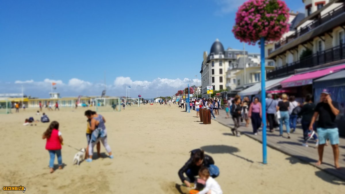 20190815_155530.jpg