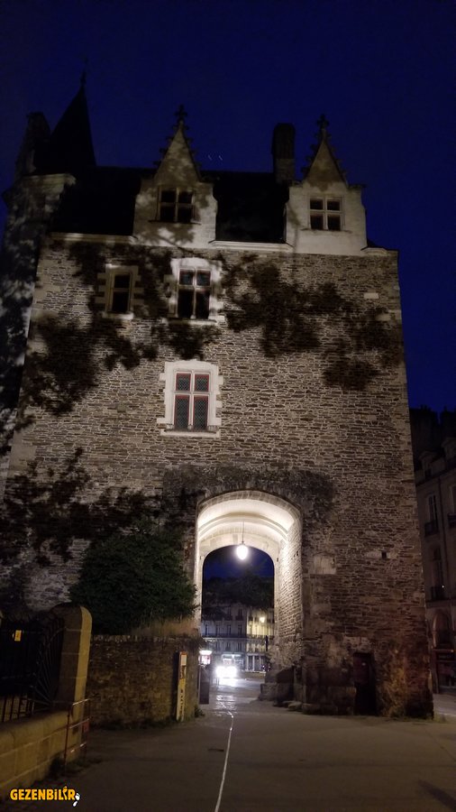 20190816_225936.jpg