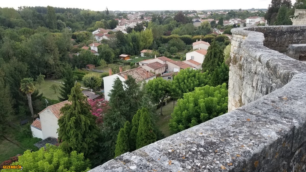 20190817_213019.jpg