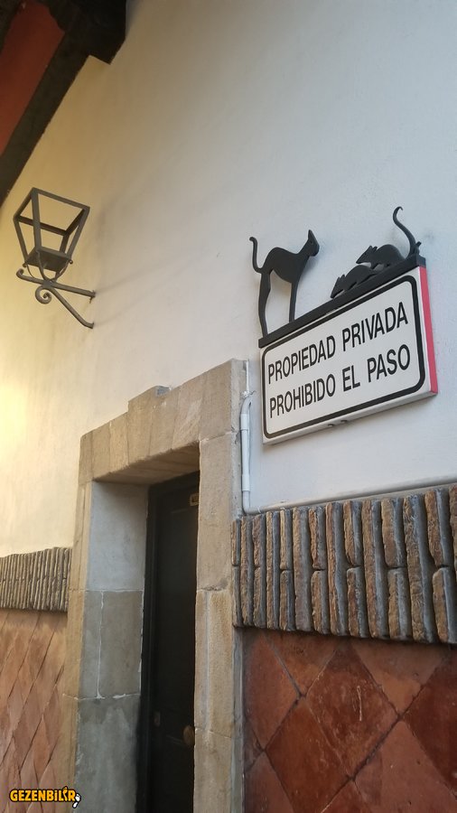 20190820_220541.jpg