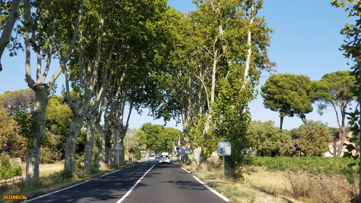 20190823_180939.jpg