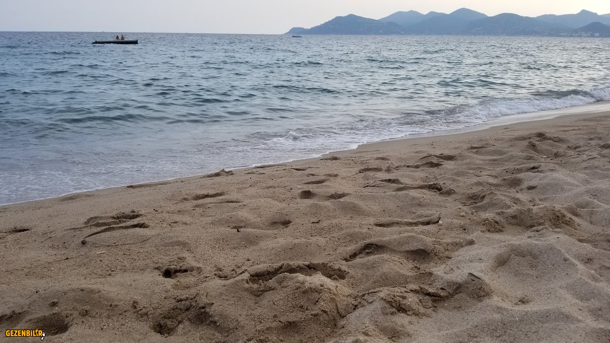20190824_190913.jpg