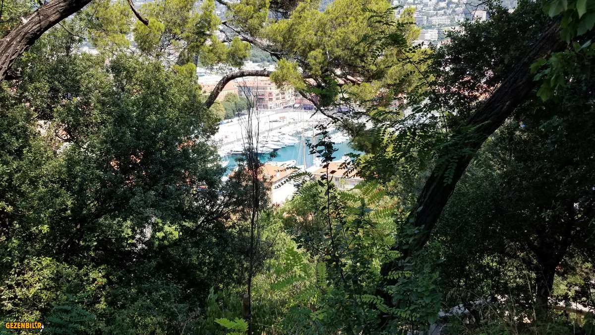 20190825_152746.jpg