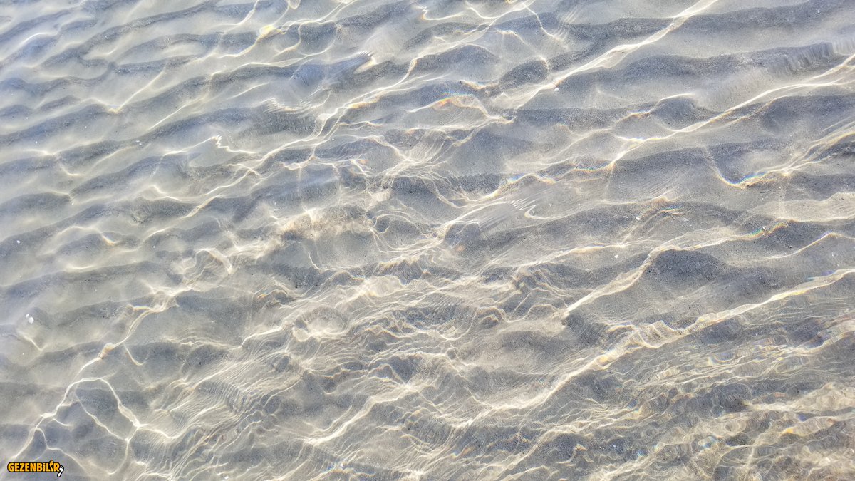 20190826_094319.jpg