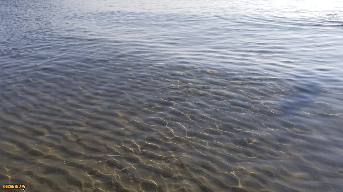 20190826_094329.jpg