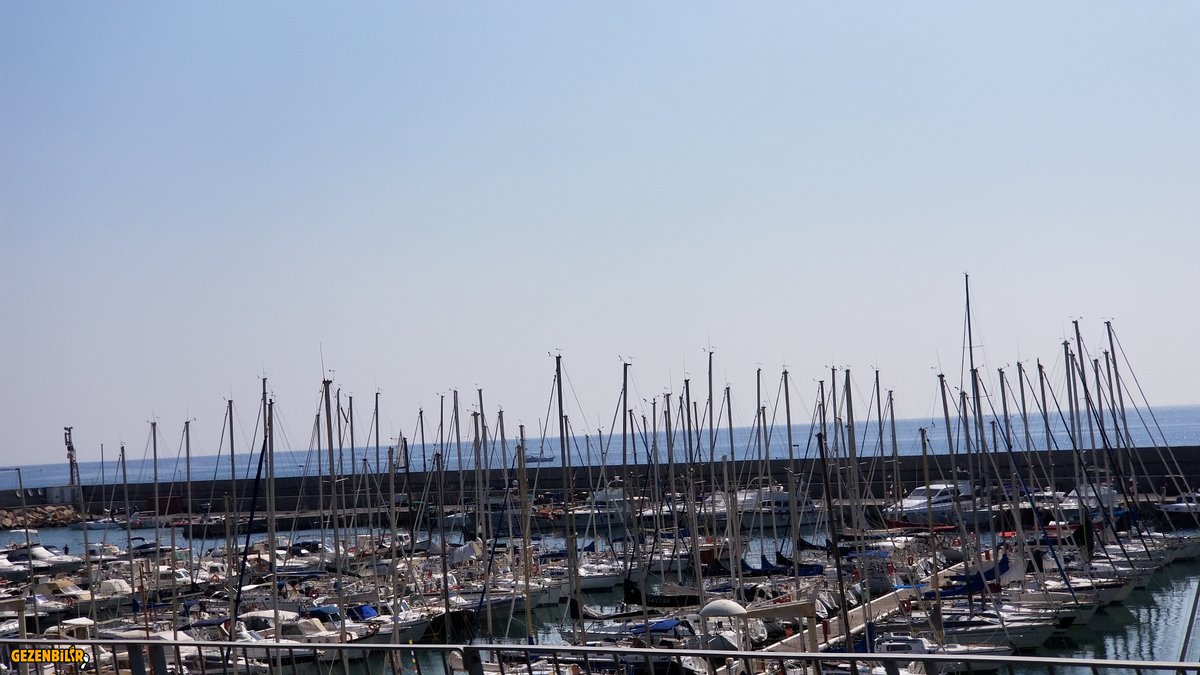 20190826_120618.jpg