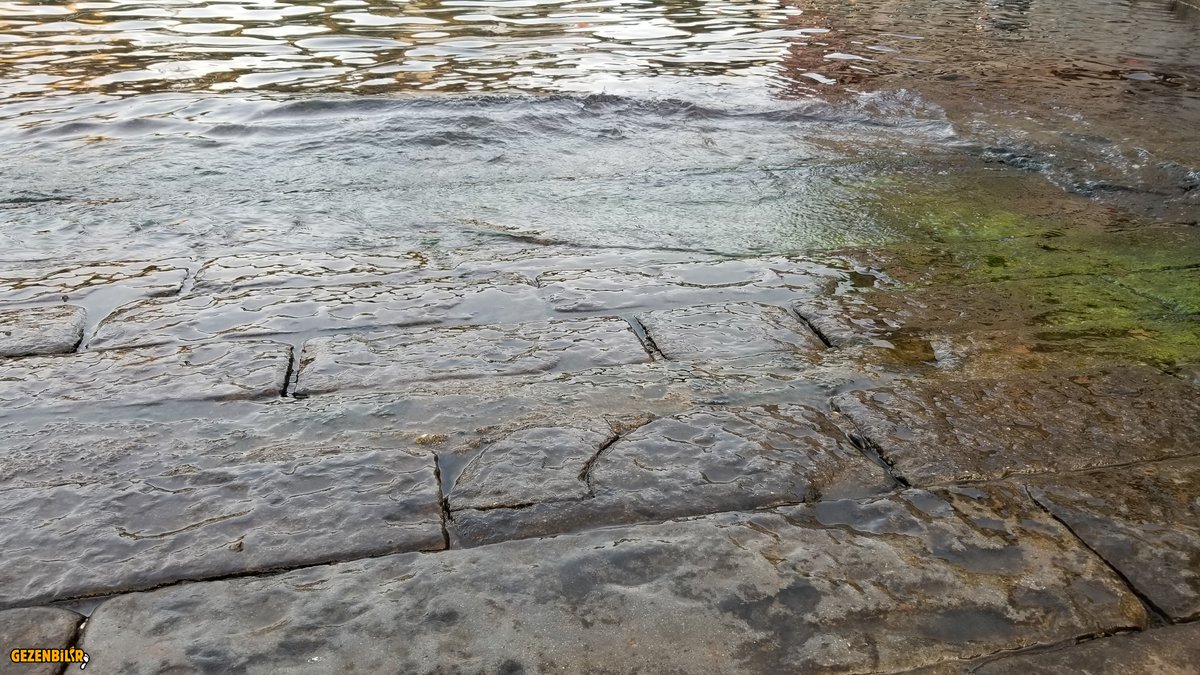 20190826_203614.jpg