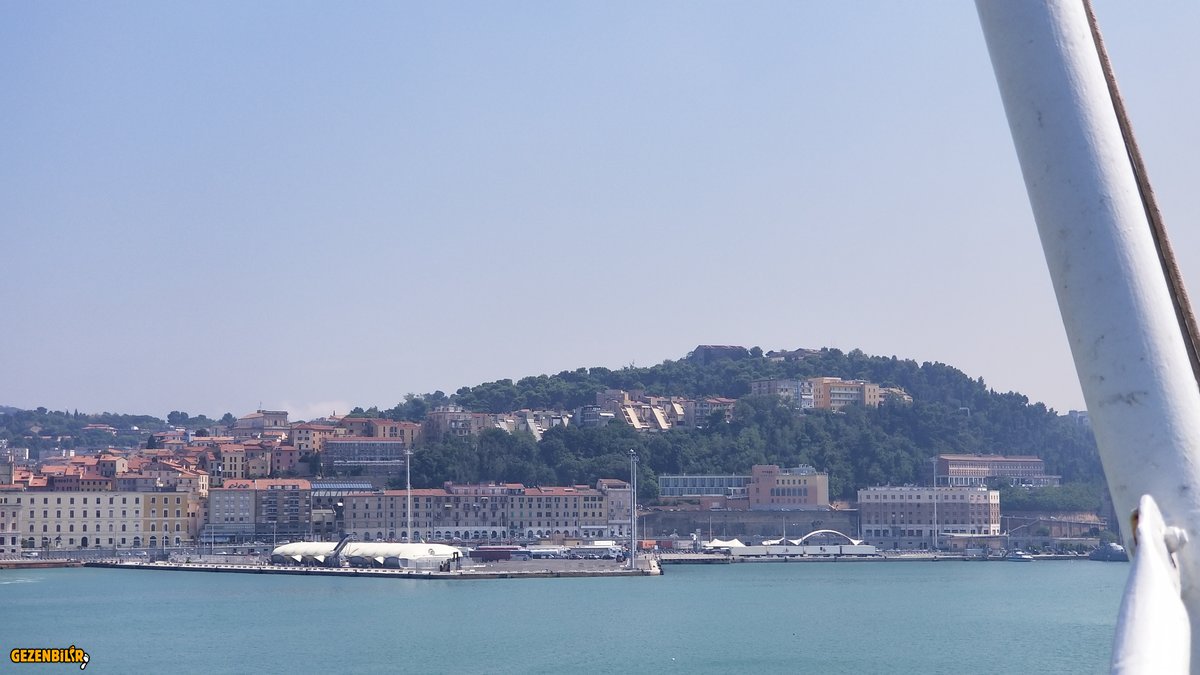 20190827_153502.jpg