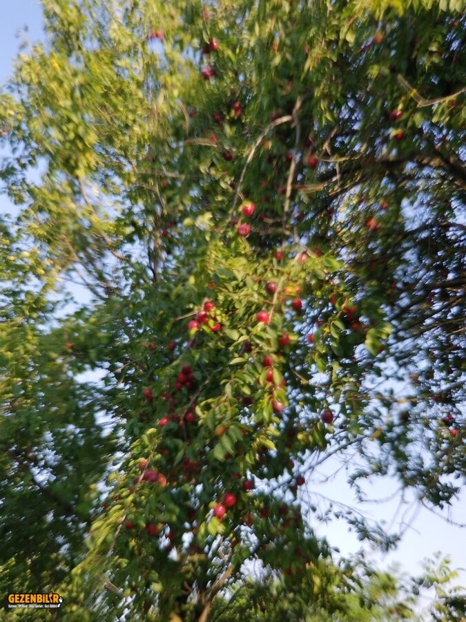 20210712_174502.jpg