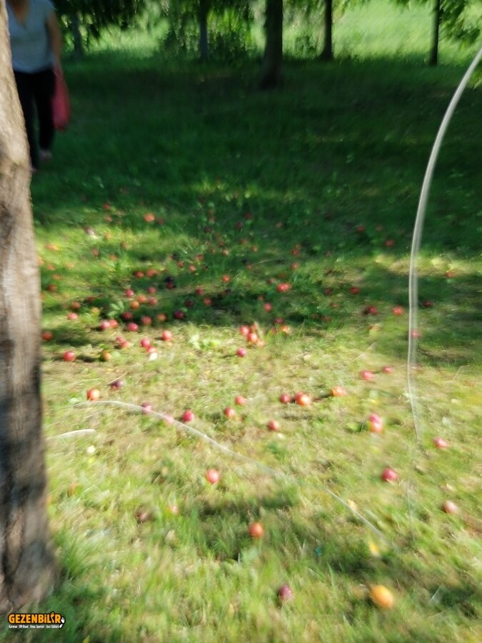 20210712_174508.jpg