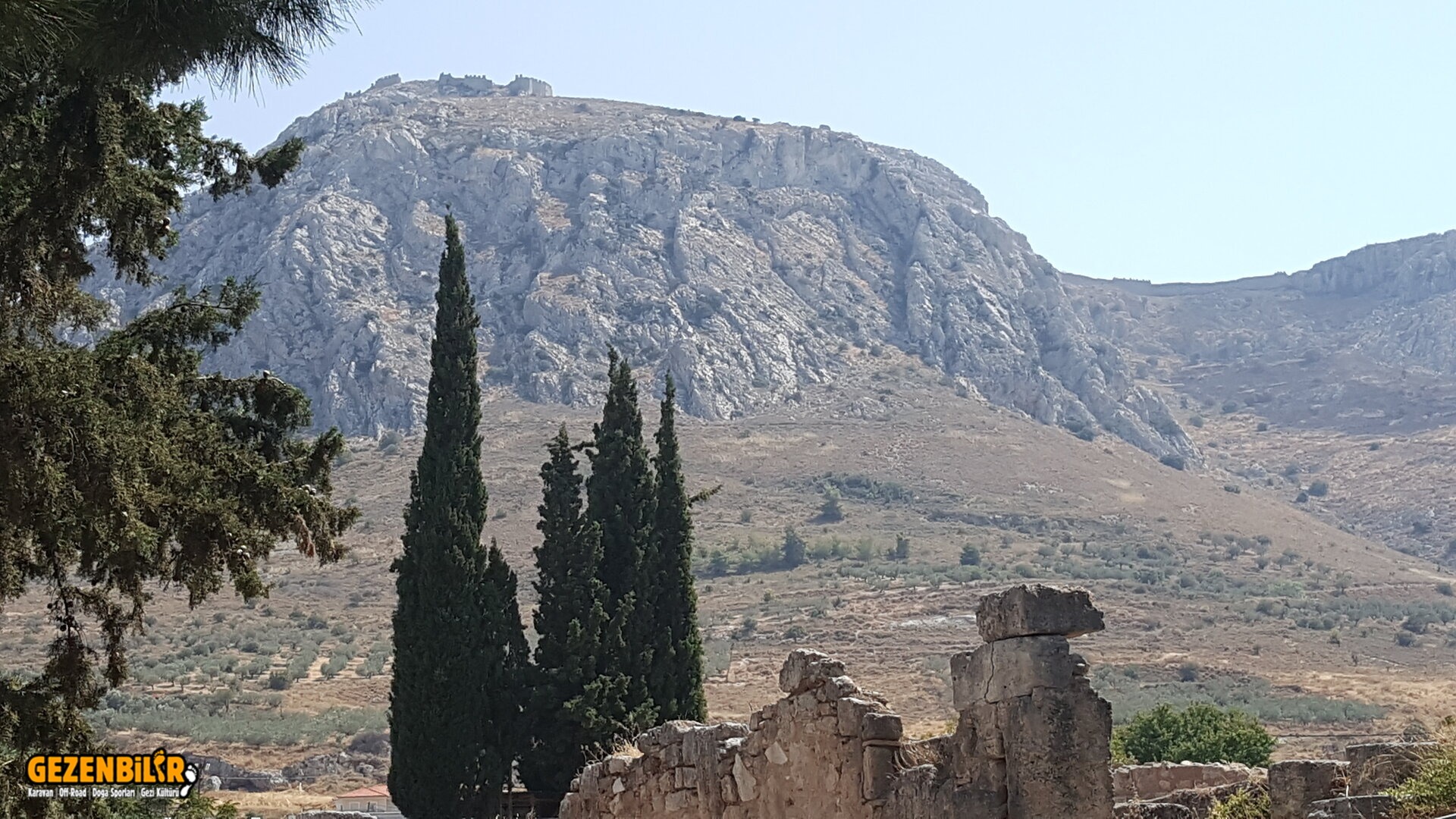 20220727_121438.jpg